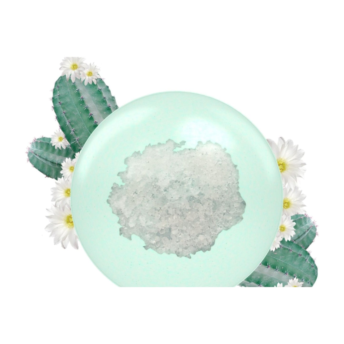 Unilever-Bath Bomb - Beloved Cactus Flower & Basil Bath Bomb ( 5 oz ) - Brandat Outlet