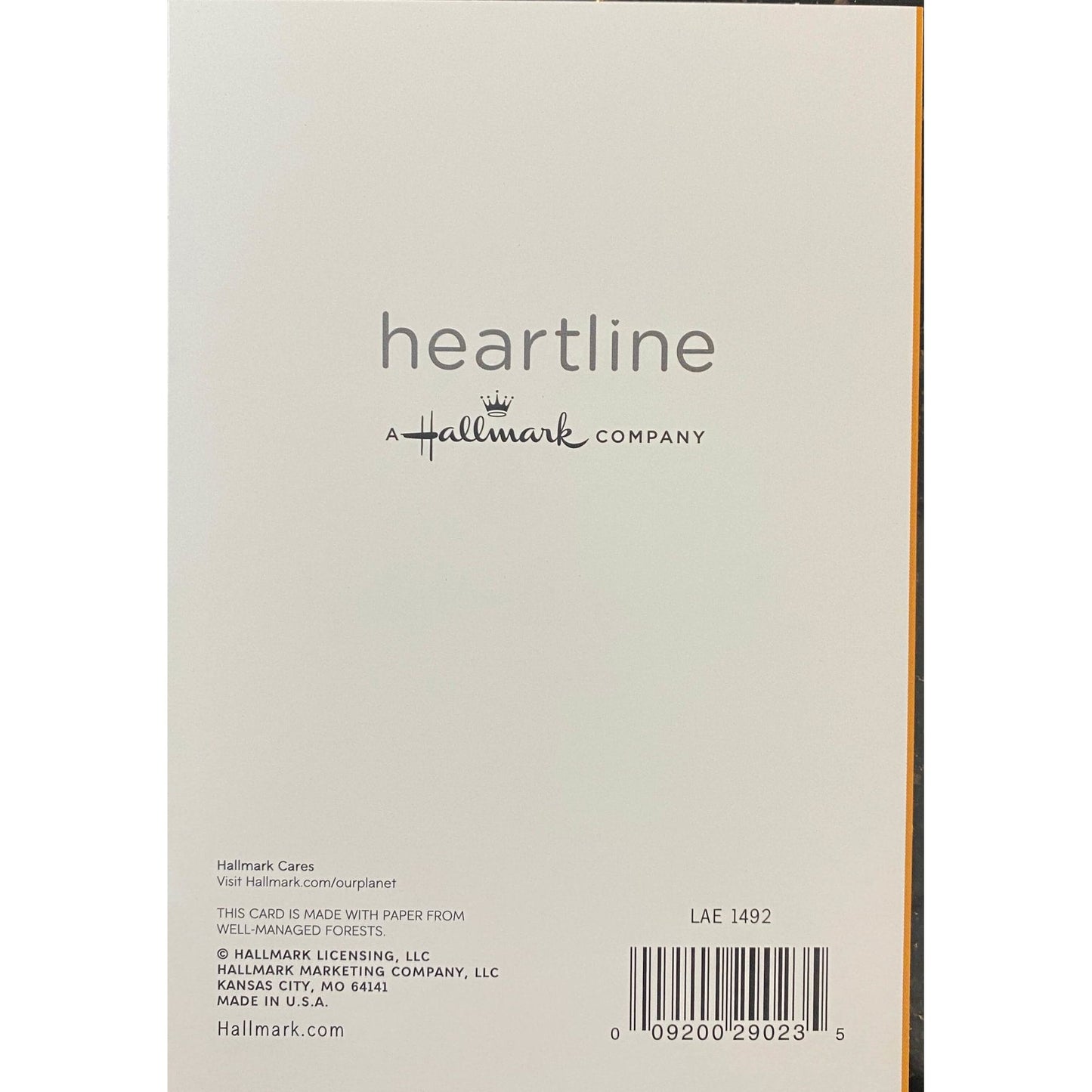 Hallmark-Birthday Card with Envelope - Heartline by Hallmark - "Another Birthday!" - Brandat Outlet