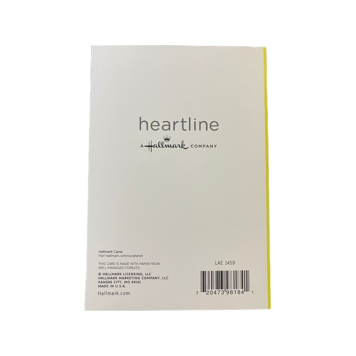 Hallmark-Birthday Card with Envelope - Heartline by Hallmark - "IF YOU CAN GUESS THE NUMBER" - Brandat Outlet