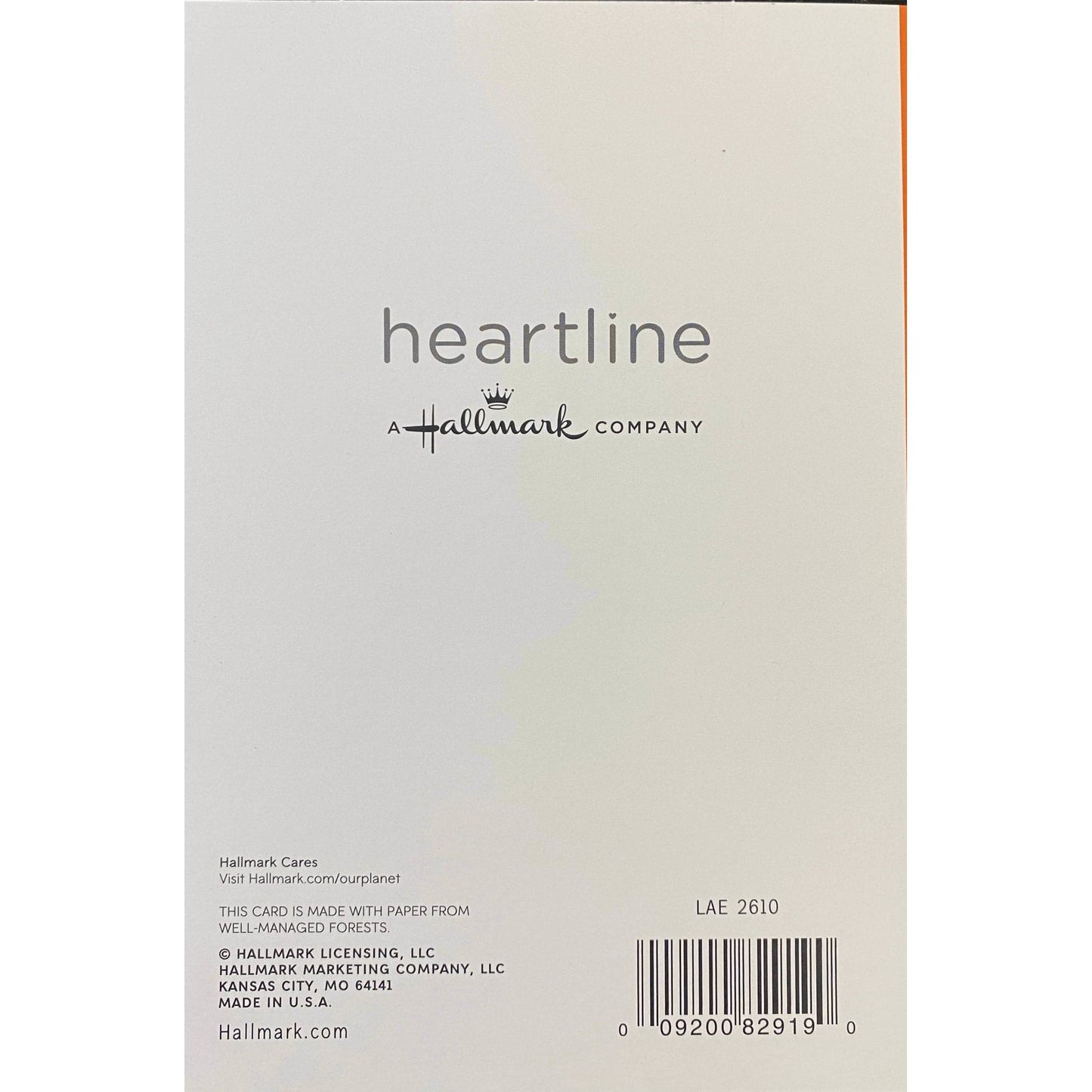 Hallmark-Birthday Card with Envelope - Heartline by Hallmark - "Social Media" - Brandat Outlet