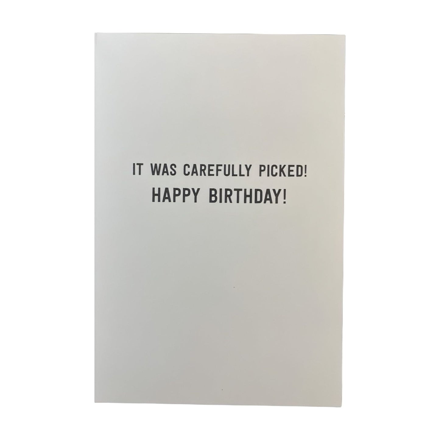 Hallmark-Birthday Card with Envelope - Heartline by Hallmark - "YOUR NOSE!" - Brandat Outlet