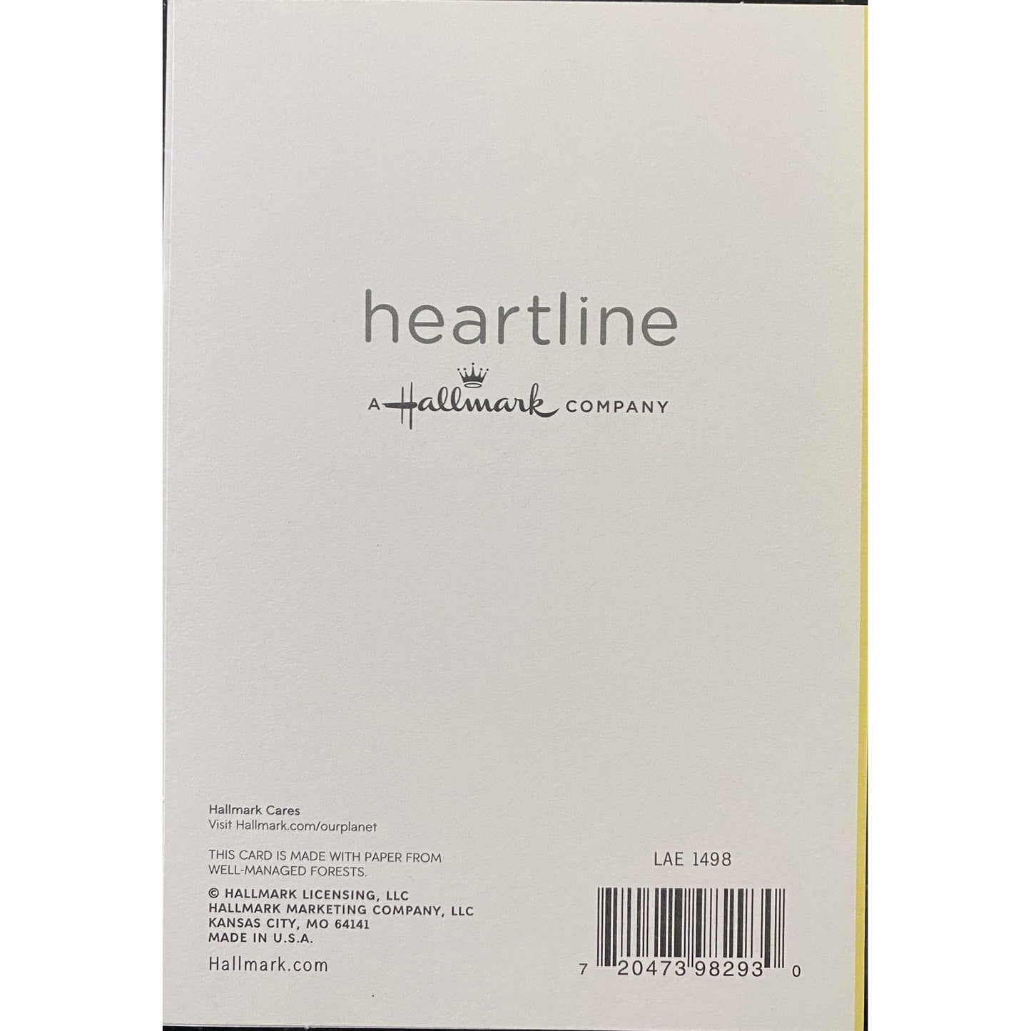 Hallmark-Birthday Card with Envelope - Heartline by Hallmark - "You're Special!" - Brandat Outlet