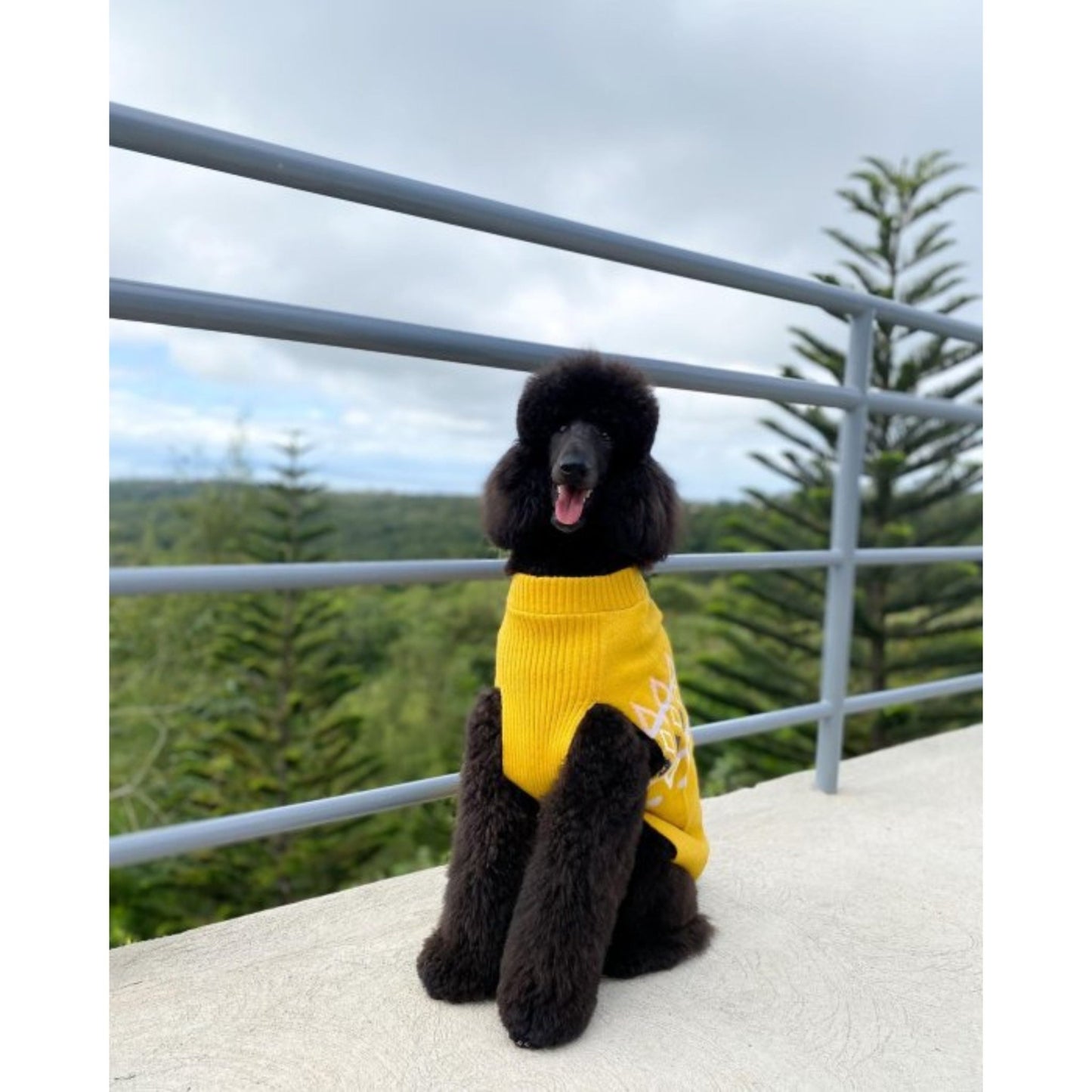 Dog and Cat Sweater Medium - Ochre - Boots & Barkley™