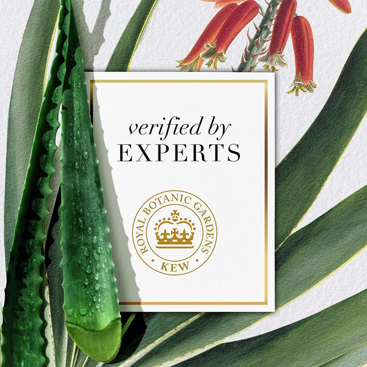 Herbal Essences Bio: Renew Hemp + Potent Aloe Sulfate Free Shampoo Frizz Control 13.5 Fl oz,