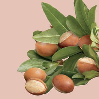 Love Beauty and Planet Shea Hand Cream in Shea Velvet-(30mL)