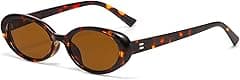 Retro Oval Sunglasses for Women Men Fashion Small Oval Sunglasses 90s Vintage Shades - Amazon.ae Price Tracker