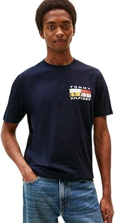 Tommy Hilfiger mens Th Colour Flag Tee Mw0mw40006 S/S T-Shirt (pack of 1) - Amazon.ae Price Tracker