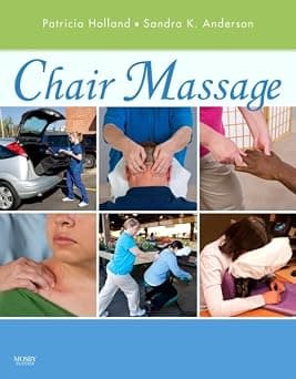 Chair Massage - Amazon.ae Price Tracker