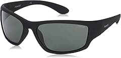 Polaroid Unisex PLD7005/S Sunglasses (pack of 1) - Amazon.ae Price Tracker