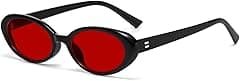 Retro Oval Sunglasses for Women Men Fashion Small Oval Sunglasses 90s Vintage Shades - Amazon.ae Price Tracker