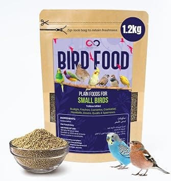 Brandsfinity 1.2kg Plain Food for Small Birds, 100% Yellow Millet Seeds, Ideal for Budgies, Canaries, Love Birds, Zebra Finches, Easy-to-Serve Bird Feed for Bird Feeders and Outdoor Bird Houses - Amazon.ae Price Tracker