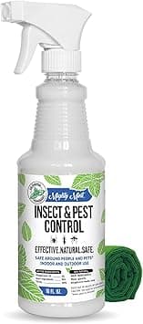 Mighty Mint Peppermint Oil Insect Repellent Spray – Natural Indoor & Outdoor Bug Control for Spiders, Ants, Roaches, and More – Plant-Based, Extra-Strong Formula - 16 oz - Amazon.ae Price Tracker