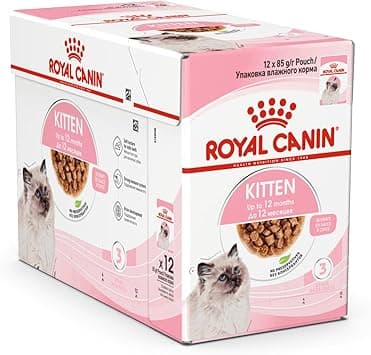 Royal Canin FHN Feline Health Nutrition Kitten Gravy 12x 85gm Cat Wet Food Pouches - Amazon.ae Price Tracker