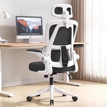Ergonomic Office Chair with Lumbar Support - High Back Mesh Computer Desk Chair with Flip-Up Armrests, Adjustable Headrest & Height, Swivel Rolling Task Chair for Home Office - Amazon.ae Price Tracker