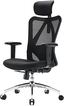 SIHOO M18 Ergonomic Desk Chair, Swivel Chair With Adjustable Lumbar Support, Headrest And Armrest, Height Adjustment and Rocker Function, Back-Friendly Office Chair, Load Capacity: up to 150 kg - Amazon.ae Price Tracker