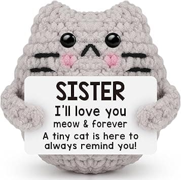Positive Crochet Cat Emotional Inspirational Support Birthday Gifts for Sister,Handmade Knitted Cat for Women Coworker Friend Student Birthday Christmas Support Small Gifts - Amazon.ae Price Tracker