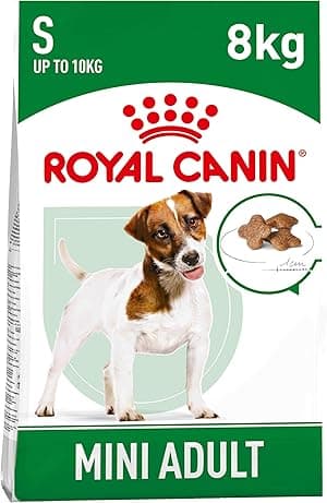 Royal Canin Size Health Nutrition Mini Adult - 8 kg - Amazon.ae Price Tracker