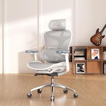 SIHOO Ergonomic Office Chair - Amazon.ae Price Tracker