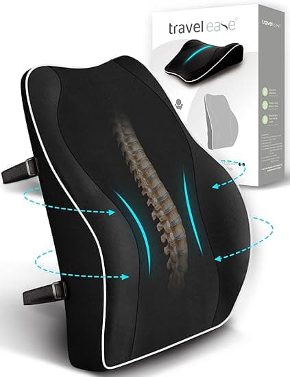 TRAVEL EASE Ergonomic Lumbar Support Cushion, Memory Foam Back Support for Car Seat Office Chair Gaming Chair, Backrest with Skin-friendly Cover & Dual Adjustable Straps, Black - Amazon.ae Price Tracker