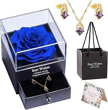 Gifts for Wife, Preserved Real Rose Gift Box with Necklace, Eternal Flower Jewelry Set Gifts for Women for Birthday, Anniversary, Valentine's Day, Mother's Day - Amazon.ae Price Tracker