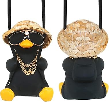 Cool Car Truck Stuff Things Automotive Mirror Hanging Funny Swing Black Duck Car Hanging Duck for Men Car Accessories Dashboard Decorations Rear View Mirror Must Haves Hippie Gifts Man Ornament - Amazon.ae Price Tracker