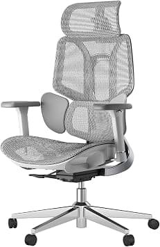 Hbada E3 Ergonomic Office Chair, Computer Chair - with 3-Zone Dynamic Lumbar Support, 3D Adjustable Headrest, 3D Adjustable Armrests, Desk Chair, Grey (Without Footrest) - Amazon.ae Price Tracker