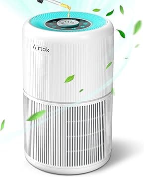 AIRTOK HEPA Air Purifier for Bedroom Home with Fragrance Sponges | 4-In-1 H13 True HEPA Air Filter for Smoke Dust Pollen Pet Dander Odors,99.97% Removal to 0.1 Microns | Ozone-Free, Night Light - Amazon.ae Price Tracker