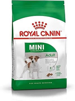 Royal Canin Mini Adult Dry Dog Food - 2KG - Amazon.ae Price Tracker