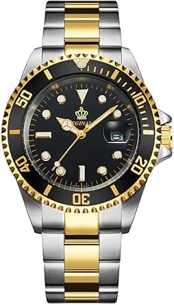 FANMIS Mens Luxury Watches Rotatable Bezel Sapphire Glass Luminous Quartz Silver Gold Two Tone Stainless Steel Watch - Amazon.ae Price Tracker