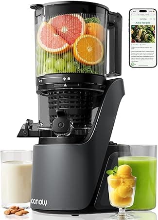 Canoly C16 Cold Press Juicer, 150mm & 2.6L Extra Big Feed Chute, 3-lN-1 Strainers (Juice &Sorbet & Nut Milk), Powerul AC Brushless Motor, Self Precut System, Juicer Machines with BPA-Free, Space Gray - Amazon.ae Price Tracker