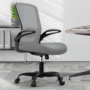 Ergonomic Office Chair - BIFMA Certified High Back Mesh Desk Chair with Adjustable Lumbar Support & Flip-Up Armrests for Home Office (Modern, Graphite) - Amazon.ae Price Tracker