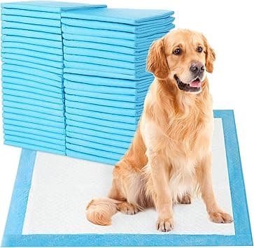 SKY-TOUCH Disposable Absorbent Quick Drying Leak-Proof Pee Pads, Disposable Training Pads For Pets with 5 Highly Absorbent Layers, Puppy Pads For Potty Training For Pets 60X60cm, 40 Pieces - Amazon.ae Price Tracker