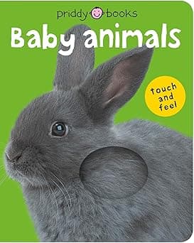 Bright Baby Touch & Feel Baby Animals (Bright Baby Touch And Feel) - Amazon.ae Price Tracker