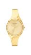 Calvin Klein CHARMING Women Watch, Analog