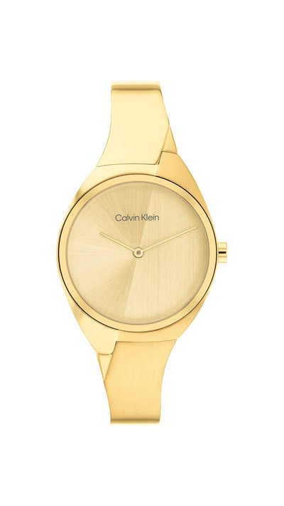 Calvin Klein CHARMING Women Watch, Analog