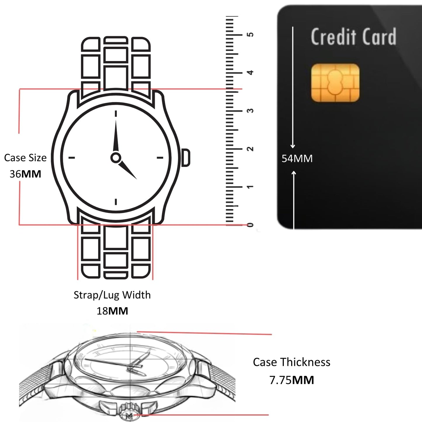 Coach ELLIOT Women Watch, Analog