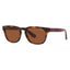 Polo Ralph Lauren Unisex Glasses - PP9503-530373