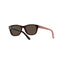 Polo Ralph Lauren Unisex Sunglasses - PP9501-593673