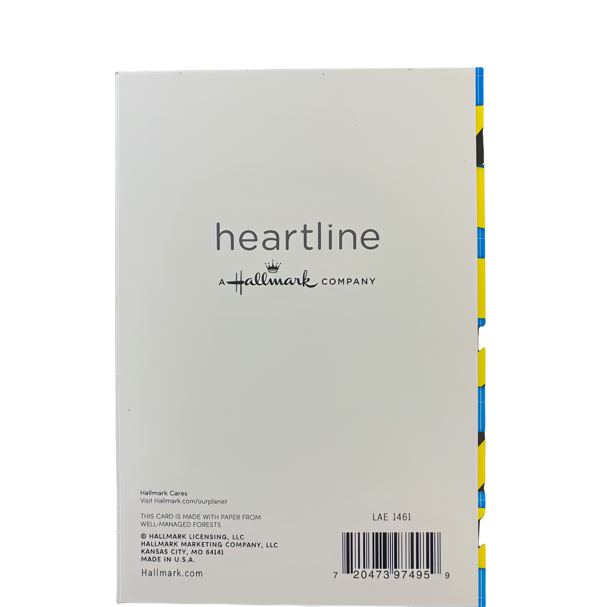 Birthday Card with Envelope - Heartline by Hallmark - "DON'T LOSE THIS BIRTHDAY CARD!" - Brandat Outlet
