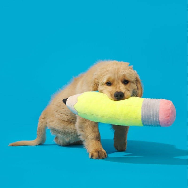 Bark-Bark Focal Number Chew Pencil Dog Toy - Brandat Outlet