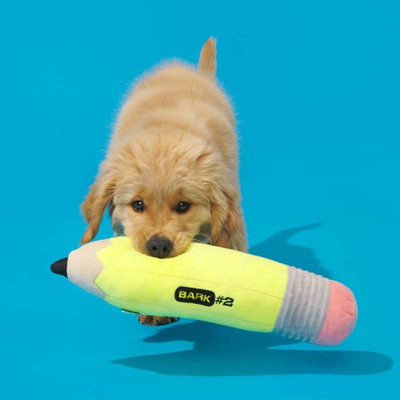 Bark-Bark Focal Number Chew Pencil Dog Toy - Brandat Outlet