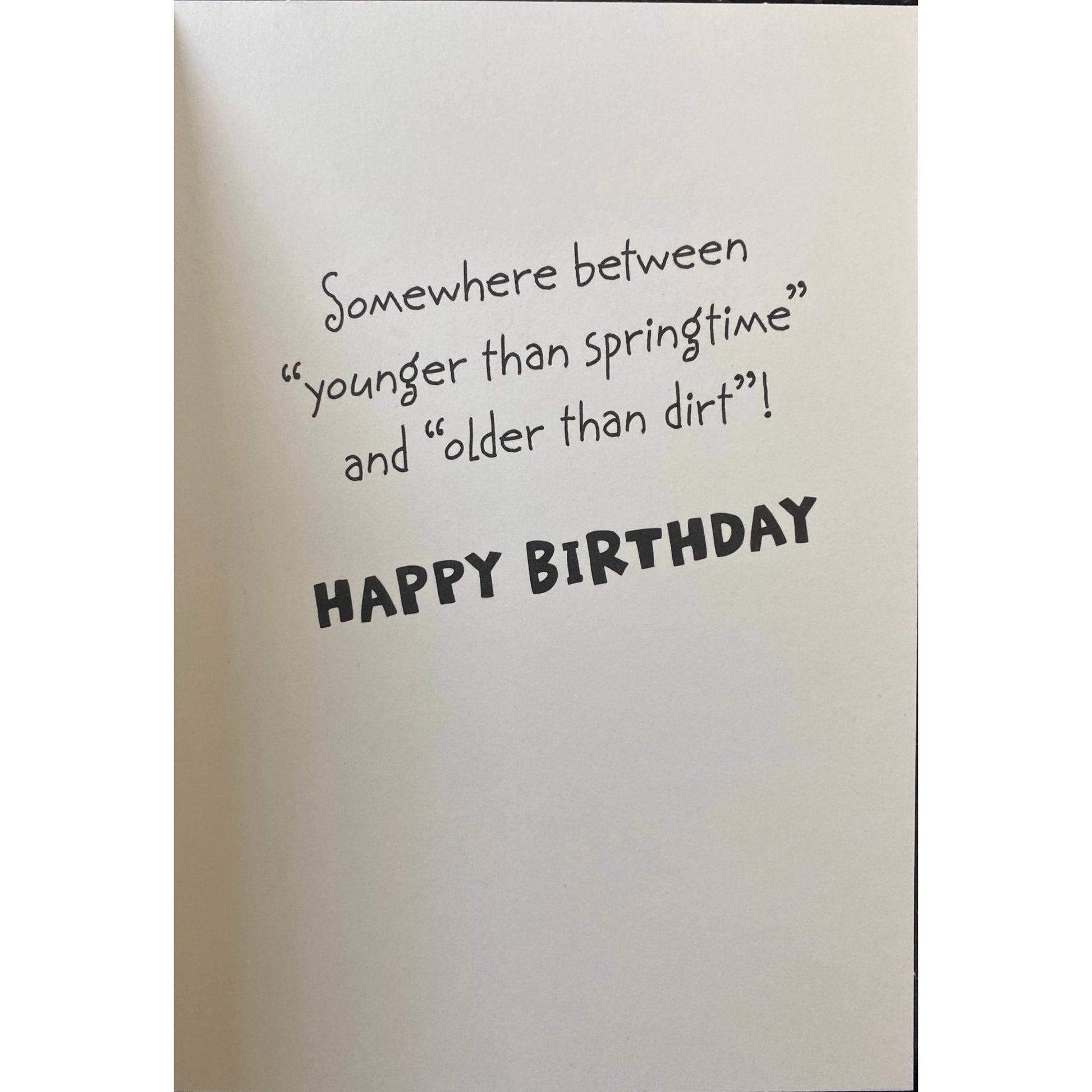 Hallmark-Birthday Card with Envelope - Heartline by Hallmark - "Ideal age!" - Brandat Outlet