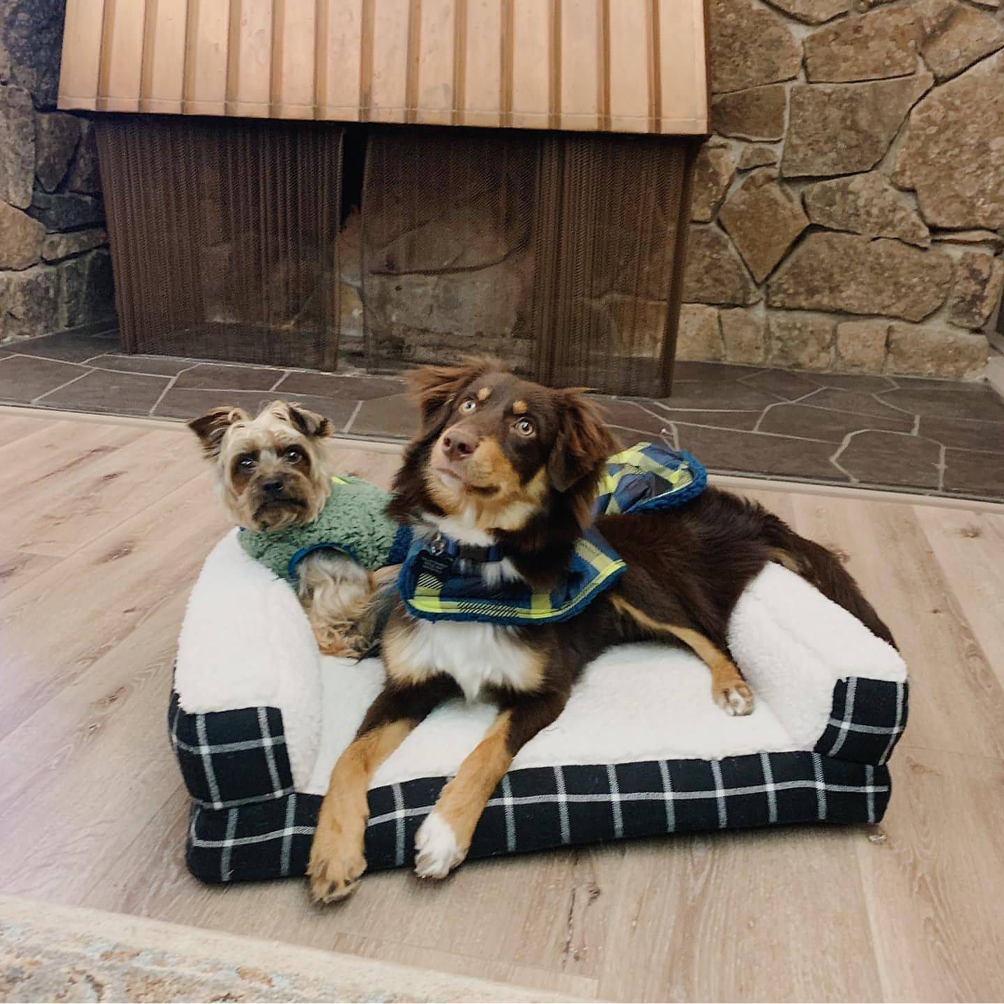 Boots & Barkley-Boots & Barkley Window Pane Plaid Pillow Couch Dog Bed - Brandat Outlet