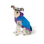 Dog and Cat Color Block Hoodie Sweatshirt - Blue/Purple/Black - XS - LEGO Collection