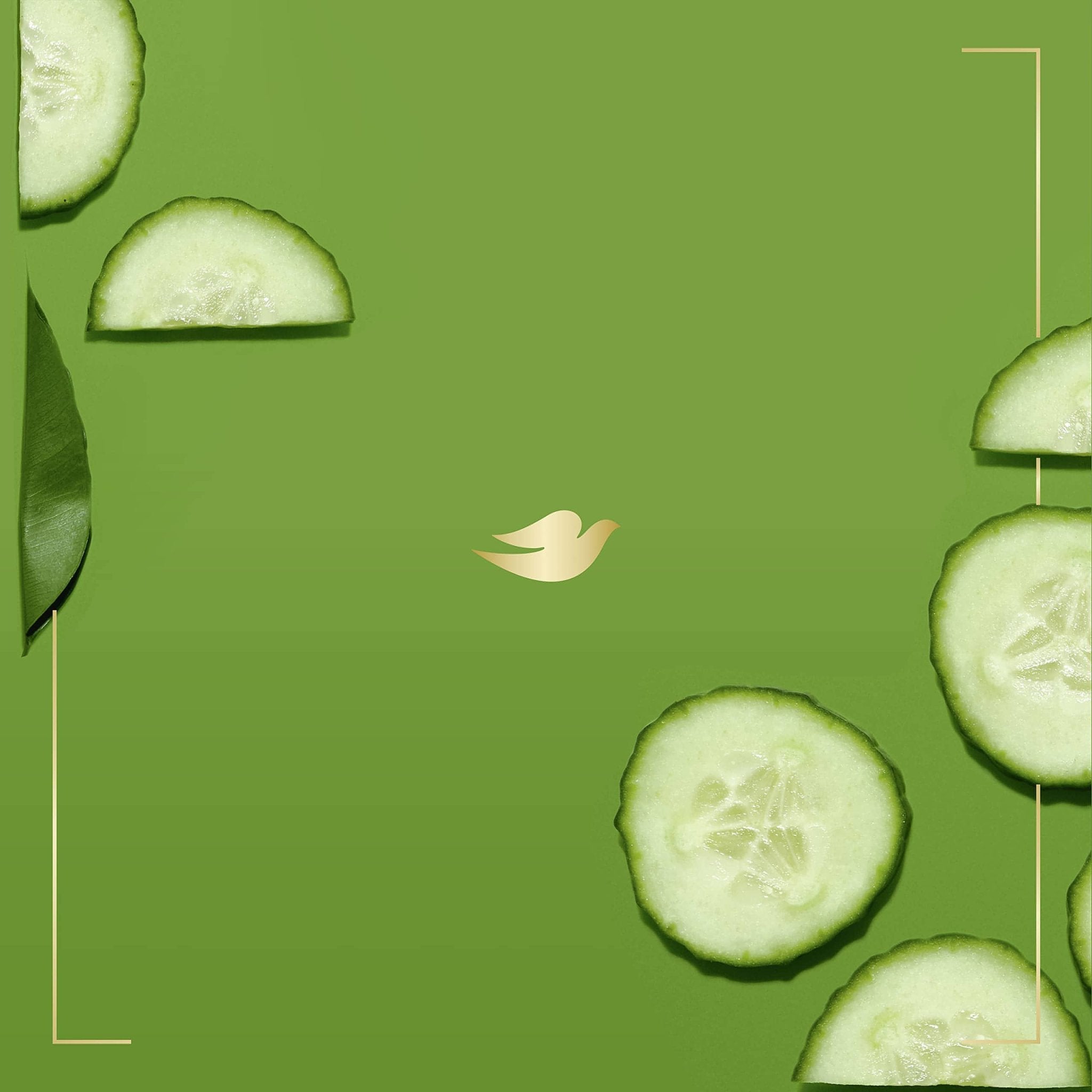 Dove Sulfate Free Body Wash with Pump Cucumber and Green Tea, 34 oz