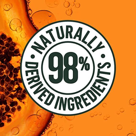 Garnier Fructis Damage Repairing Treat Shampoo, 98 Percent Naturally Derived Ingredients, Papaya, Nourish Dry Damaged Hair, Coconut (350mL)
