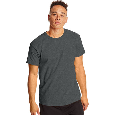 Hanes Men's X-Temp Performance Cool Crew T-Shirts, 2 Pack (Gray )