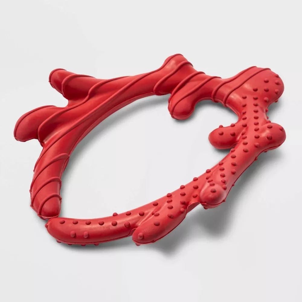 Boots and barkley clearance toucan dog toy